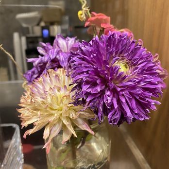 Temple Coffee Roasters - Always stop to smell the flowers, or simply pause to appreciate them. - Coffee & Tea Near Me - Sacramento, California Temple Coffee Roasters - Always stop to smell the flowers, or simply pause to appreciate them. - Coffee & Tea Near Me - Sacramento, California