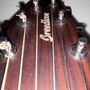 Photo of Ross Guitars