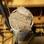 Photo of L & N Carpet & Cleaning