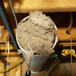 L & N Carpet & Cleaning - Pulling out one of dozens of clumps of lint