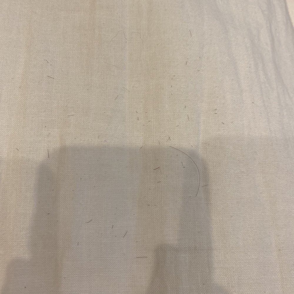 Pottery Barn - Black hair on white bed comforter - Furniture Stores Near Me - Manhattan Beach, California Pottery Barn - Black hair on white bed comforter - Furniture Stores Near Me - Manhattan Beach, California