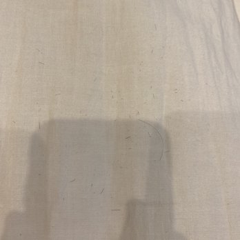 Pottery Barn - Black hair on white bed comforter - Furniture Stores Near Me - Manhattan Beach, California Pottery Barn - Black hair on white bed comforter - Furniture Stores Near Me - Manhattan Beach, California