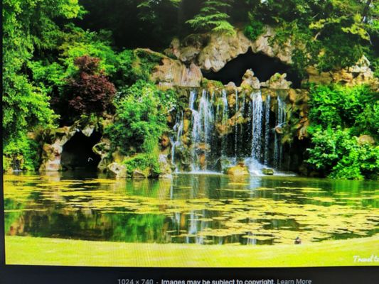 Bois de Boulogne by null