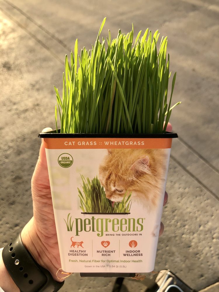 PETCO 37 Photos & 104 Reviews 3384 Tyler St, Riverside, California