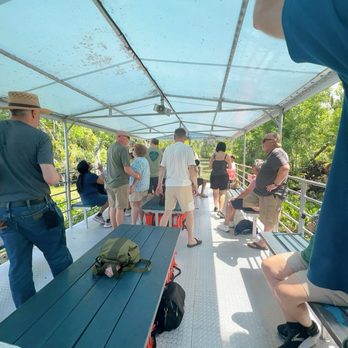Ultimate Swamp Adventures - Tours Near Me - Westwego, Louisiana Ultimate Swamp Adventures - Tours Near Me - Westwego, Louisiana