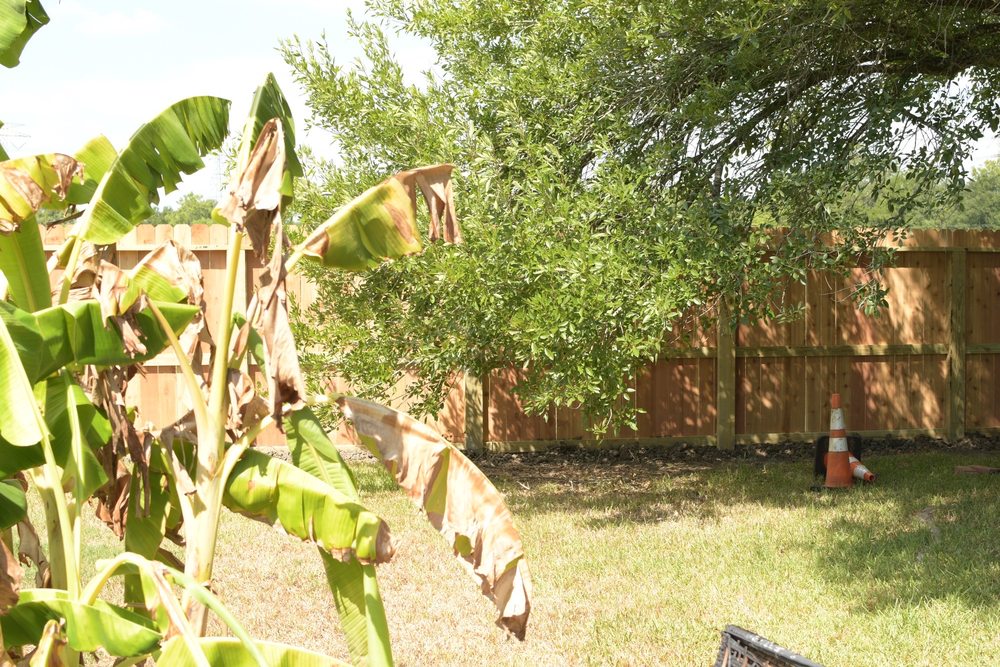 Slide of A Honesty Roofing