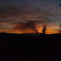 Abernathy Stump Grinding - Beautiful sunset from my property!
