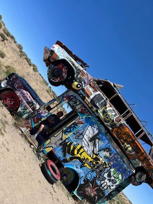 The International Car Forest by null