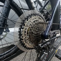 Easy Riders Bicycle & Sports