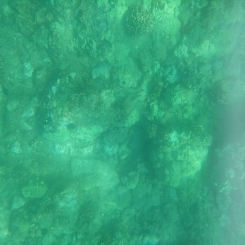 Clear Kayaks Maui - View from the bottom of the kayak - Rafting/Kayaking Near Me - Kihei, Hawaii Clear Kayaks Maui - View from the bottom of the kayak - Rafting/Kayaking Near Me - Kihei, Hawaii