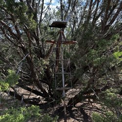 Dos Plumas Hunting Ranch - Nice tree stands available throughout the property