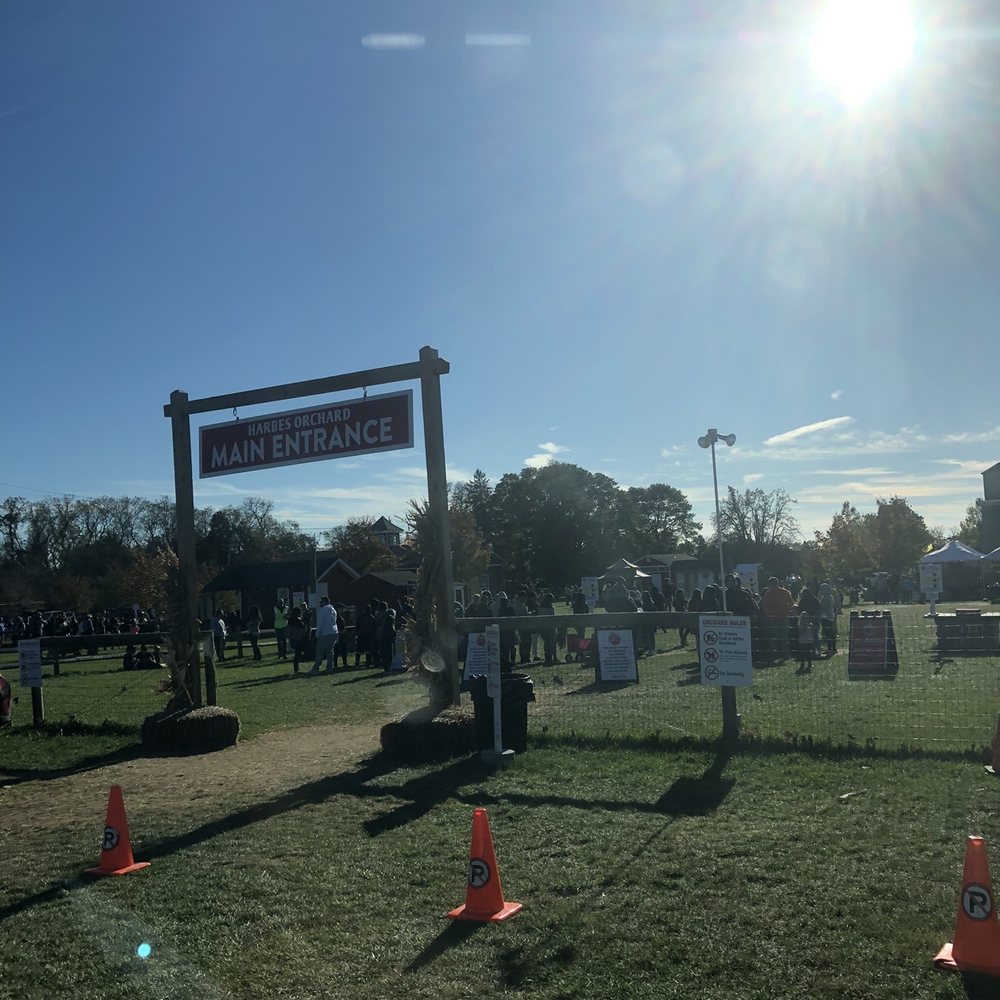 Admission, MUST PAY, line Admission, MUST PAY, line