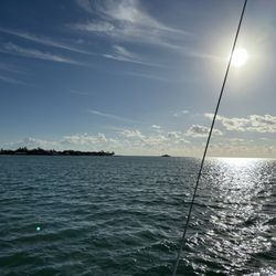 Mikes Sailing Charters - Perfect Morning