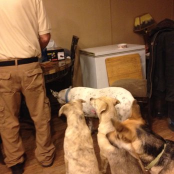 odessa animal hospital