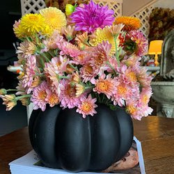 Little Petal Farm