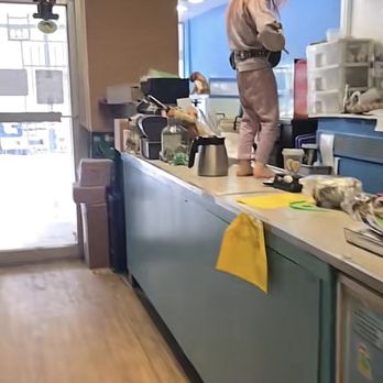 Jack's Pet Center - Showing a child barefoot on the counter - Pet Stores Near Me - Great Falls, Montana Jack's Pet Center - Showing a child barefoot on the counter - Pet Stores Near Me - Great Falls, Montana