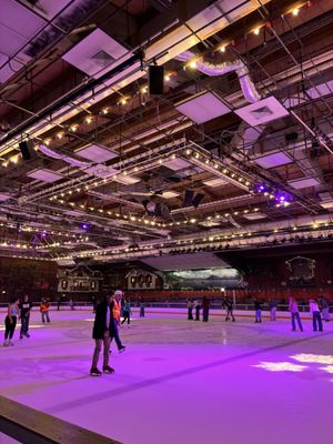 Snoopy's Home Ice by null