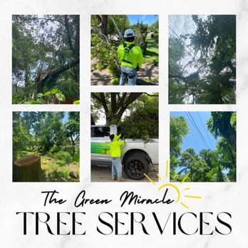 The Green Miracle - Lawn Services Near Me The Green Miracle - Lawn Services Near Me
