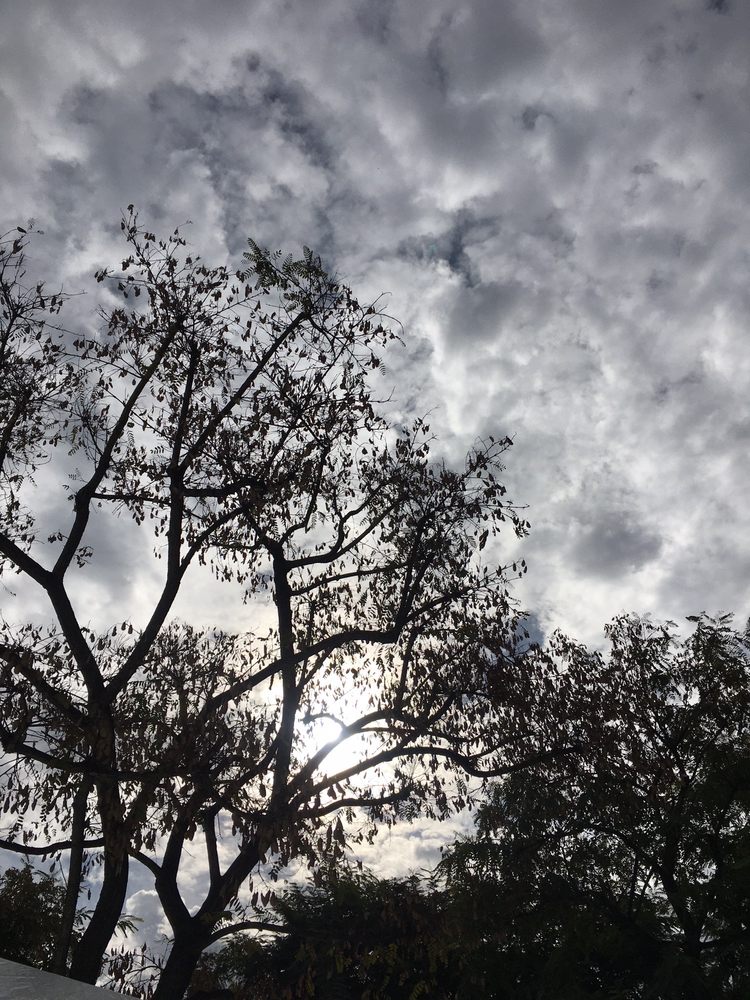 GROSSMONT HEALTHCARE DISTRICT’S HEALTH & WELLNESS LIBRARY 30 Photos