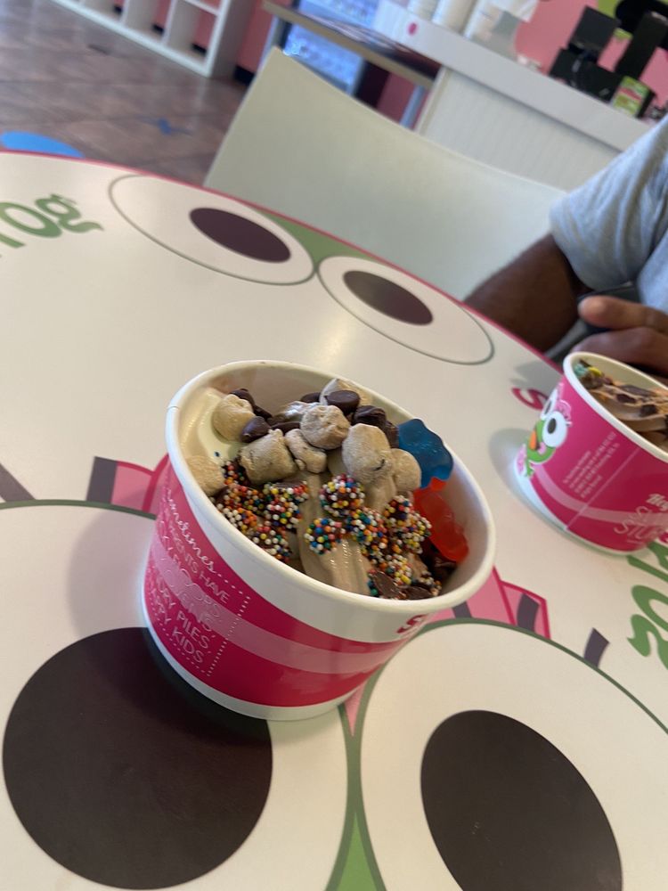 SWEETFROG PREMIUM FROZEN YOGURT 14 Photos 15 S Gateway Dr