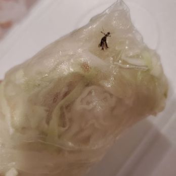 S Thai Food - Bug inside spring roll - Thai Near Me - Temecula, California