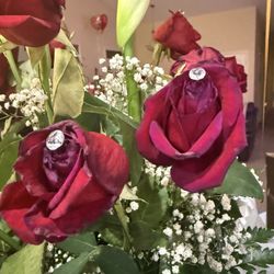 Shaila Flowers