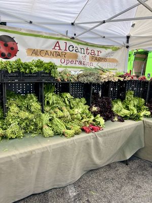 Sherman Oaks Farmers Market by null