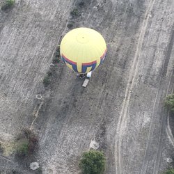 Flyvolare