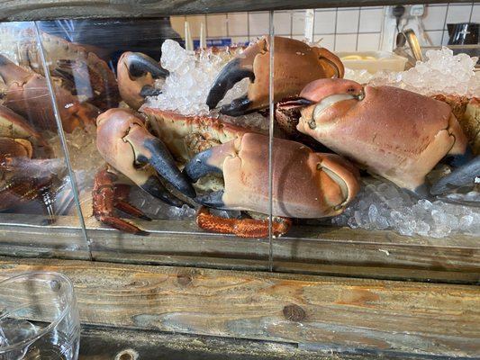The Oystermen Seafood Bar & Kitchen by null