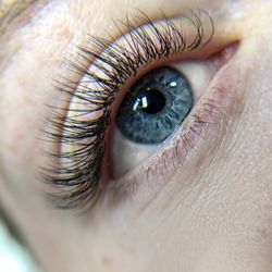 Rose Wall Lash Artistry