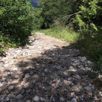 Slesse Memorial Trail - This is NOT the trail! - Hiking Near Me - Chilliwack, British Columbia