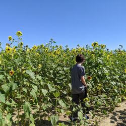 Spangler Farms