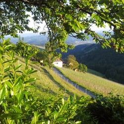 Buschenschank Schauer - The view from the patio
