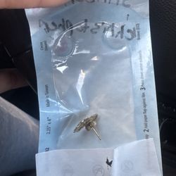 Georgetown Elite Dental - Image of the earring they found