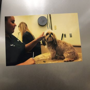 PetSmart - Pet Training Near Me - Hanford, California