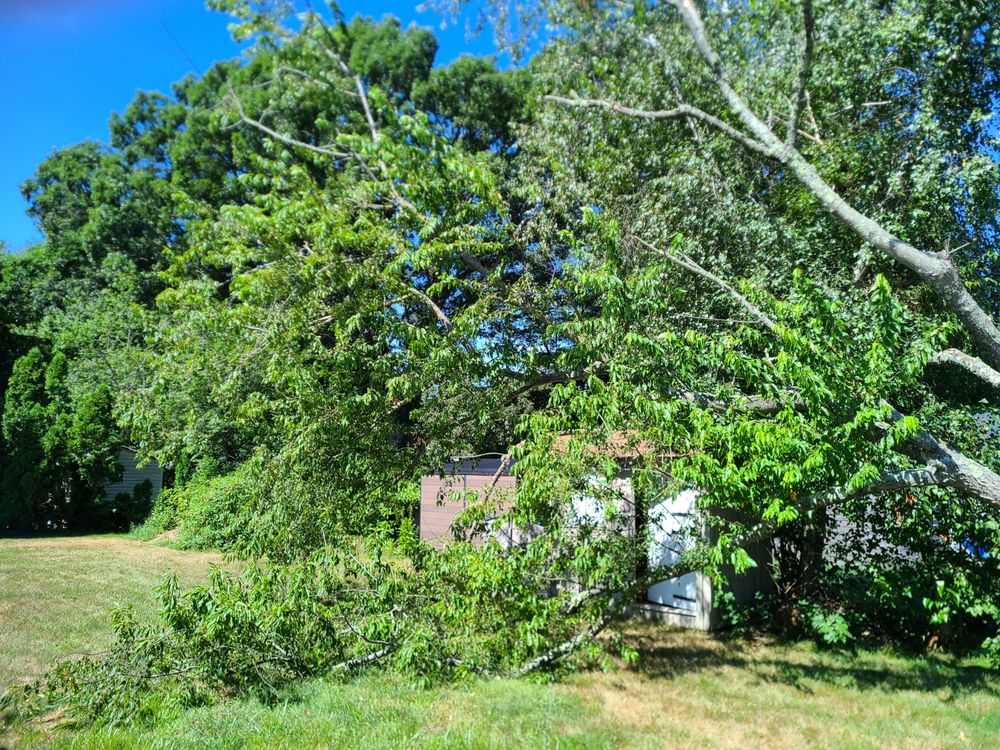 deras tree service - tree service in Pawtucket, RI