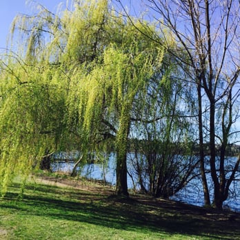 Green Lake Park - Enjoy view of lake - Parks Near Me - Seattle, Washington
