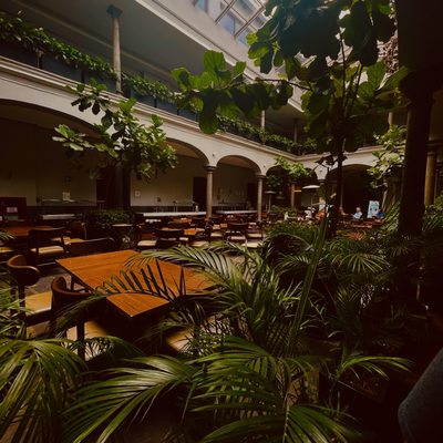 Gamma Orizaba Grand Hotel de France by null