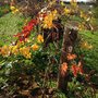 Photo of Greenock Creek Vineyard & Cellars