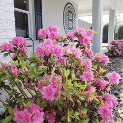 BARRON’s Boutique - Welcome to BARRON's Boutique