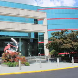 Dynamic Fitness Long Island