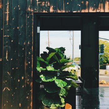 2145 Eats - Back Patio - Pizza Near Me - Costa Mesa, California 2145 Eats - Back Patio - Pizza Near Me - Costa Mesa, California