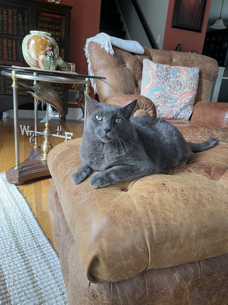 CREEKSIDE ANIMAL HOSPITAL Updated October 2024 13 Reviews 2580