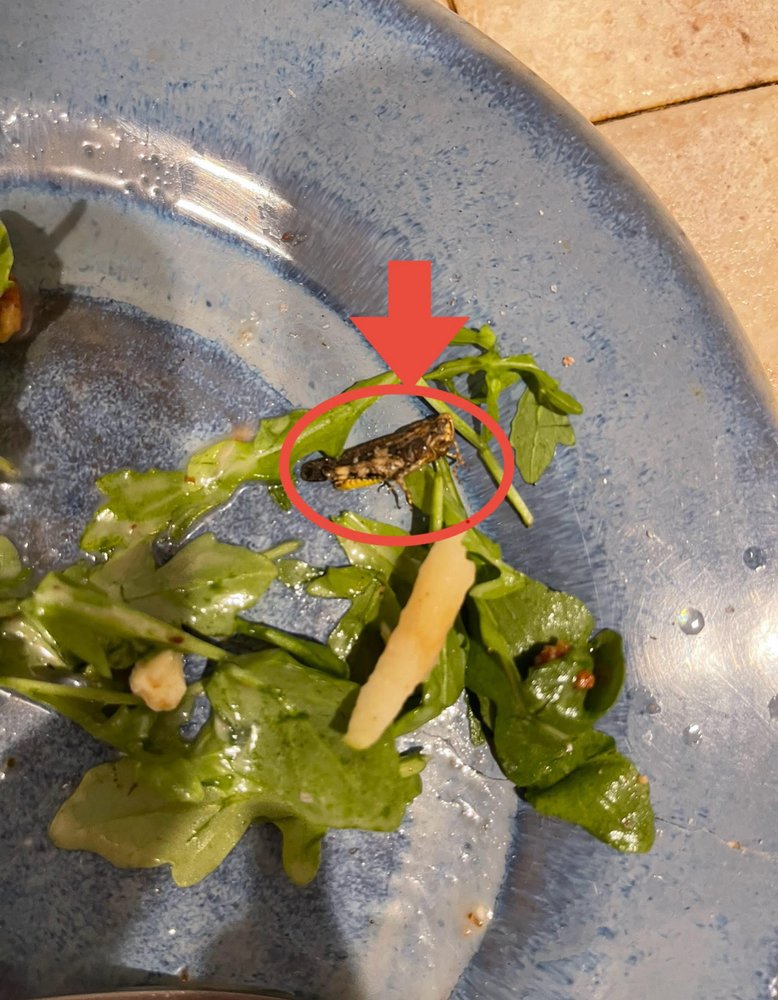 Food from Local 463 Urban Kitchen