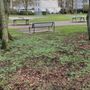 Photo of Spielplatz Carola-Williams-Park