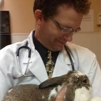 Westgate Pet Clinic - Dr. Perry with a bunny - Veterinarians Near Me - Minneapolis, Minnesota Westgate Pet Clinic - Dr. Perry with a bunny - Veterinarians Near Me - Minneapolis, Minnesota