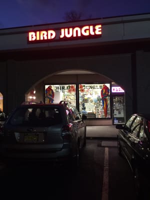 Bird Jungle by null