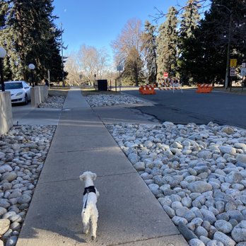 Cheesman Park - Parks Near Me - Denver, Colorado Cheesman Park - Parks Near Me - Denver, Colorado