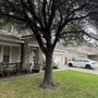 Photo of Atlas Quality Tree Care