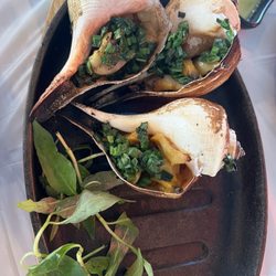 Grilled conch